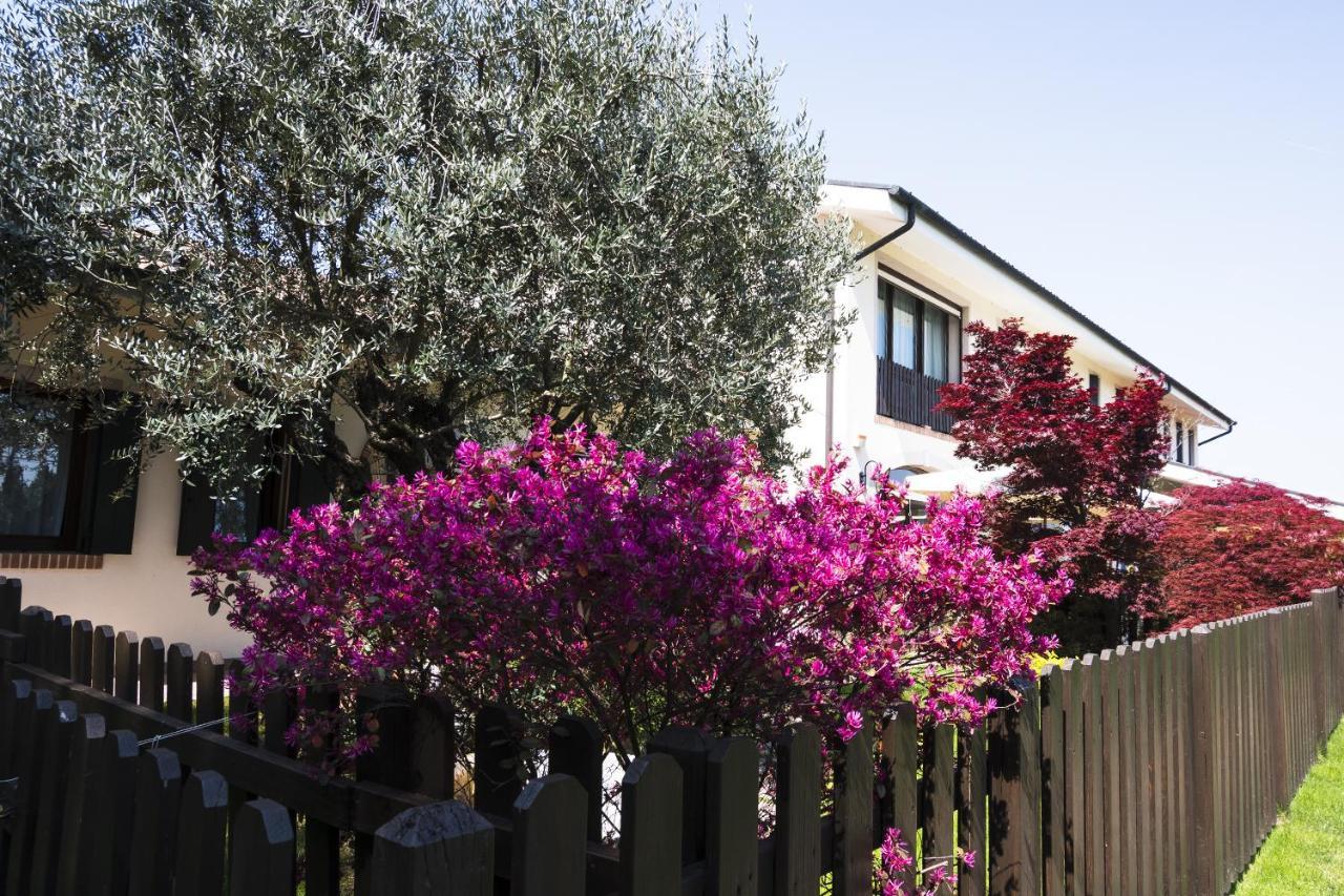Agriturismo Il Cascinale Treviso Ngoại thất bức ảnh